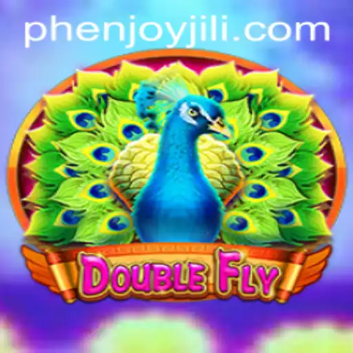 DoubleFly: A Riveting Adventure Through Digital Skies